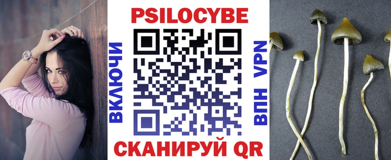 Псилоцибиновые грибы GOLDEN TEACHER  купить наркотики сайты  Губкинский 