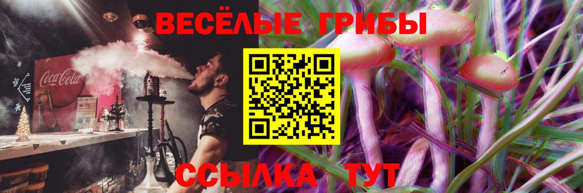 Губкинский  Псилоцибиновые грибы GOLDEN TEACHER  Галлюциногенные грибы Psilocybine cubensis  Вход с VPN 