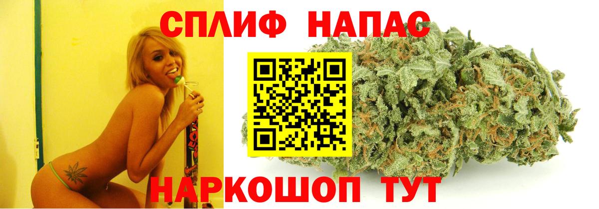 МАРИХУАНА гибрид Губкинский